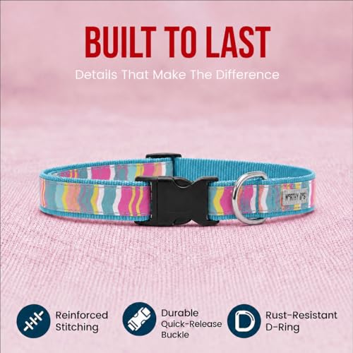 THE WORTHY DOG Spring Holiday Fiesta Stripe Dog Collar – Durable Nylon, Woven Ribbon, Quick-Release Buckle, Nickel D-Ring – Teal, Small - color: Fiesta Stripe - Teal, size: Small