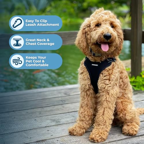 Best Pet Supplies Voyager Adjustable Step-in Flex Breathable Mesh Dog Harness for Small Medium Large Dogs (Black), S - color: Harness (Black), size: S