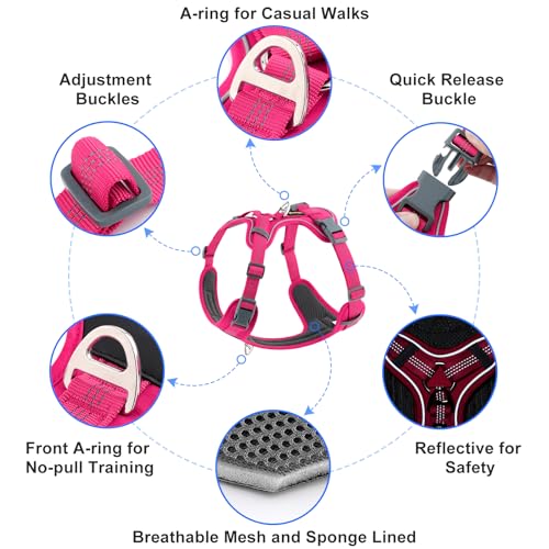 Plutus Pet No Pull Dog Harness, Release at Neck, Soft Padded, Reflective Adjustable Dog Vest Harness for Small, Medium, Large Dogs(Hot Pink, XS) - color: Hot Pink, size: XS