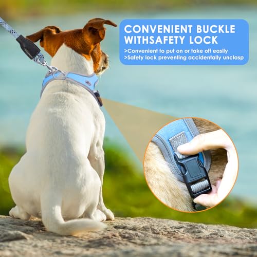 Dog Harness and Leash Set, No Pull Saddle Style Pet Harness, Breathable Mesh Adjustable Reflective Dog Vest for Medium Small Dogs Harness 2 D-Rings, Blue, XS - color: Blue, size: XS