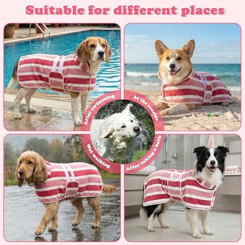 Quick Drying Dog Bathrobe - Super Absorbent Dog Bathrobe with 2 Drying Gloves Coral Fleece Quick Drying Towel for Medium Dogs Adjustable Velcro Button Closure, L Size Fits Chest 25.6±1.2 Inches - size: Large