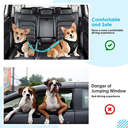SlowTon Dog Seat Belt, Double Dog Seatbelt Adjustable Vehicle Safety Leash with Elastic Bungee Buffer, Reflective No Tangle Y Shape Two Dog Harness Seat Belt Splitter for Pets Car Trip (Mint Blue, M) - color: C.Mint Blue, size: 2 Medium in 1
