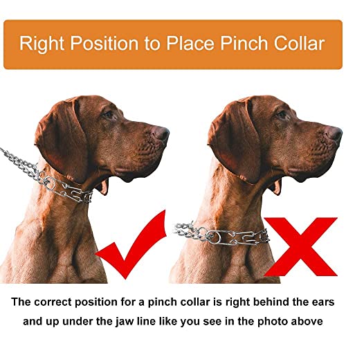 Dog Prong Collar, Adjustable Dog Training Collar with Quick Release Buckle for Small Medium Large Dogs (Silver, XL /4.0mmNeck: 20"-23'' Weight:90 lbs) - color: Silver, size: XL/4.0mm (Neck: 20"-23" Weight: 90 lbs)