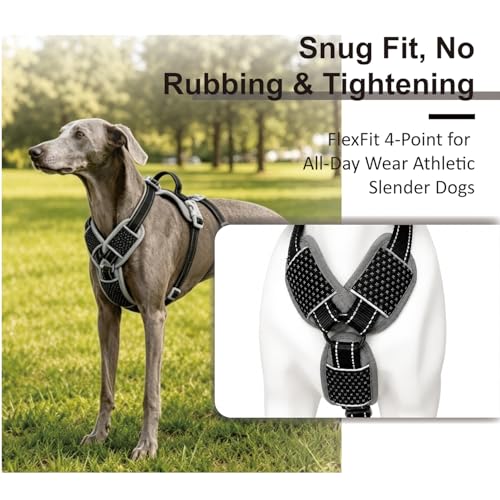 ThinkPet Flexfit 3-Strap Escape Proof Dog Harness, No Pull Front Clip 2-in-1 Vest with Control Handle, 360° Reflective Breathable Adjustable Harness for Greyhound Whippet Vizsla, Medium, Black - color: Black, size: Medium