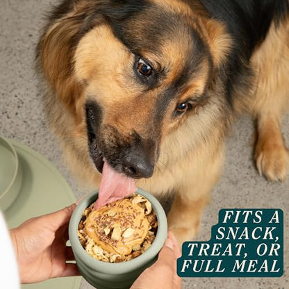Should We Go? Interactive Dog Enrichment Toy with Freezer Plug, BPA-Free Silicone Puzzle Dog Freeze Bowl & Treat Dispenser for Mental Stimulation, Ideal for Kibble & Frozen Licks, Fits 10 oz, Medium - size: Medium
