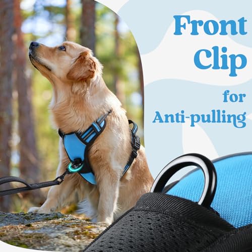 rabbitgoo Dog Harness Small Sized, No Pull Pet Harness with 3 Buckles, Adjustable Soft Padded Vest with Control Handle, Walking Reflective Pet Vest for Small Dogs, Sky Blue, S - color: Sky Blue, size: Small