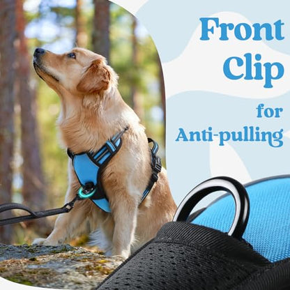 rabbitgoo Dog Harness Small Sized, No Pull Pet Harness with 3 Buckles, Adjustable Soft Padded Vest with Control Handle, Walking Reflective Pet Vest for Small Dogs, Sky Blue, S - color: Sky Blue, size: Small