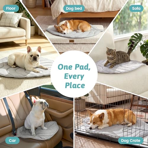 Cooling Mat/Pad/Blanket for Dogs & Cats Indoor — Fabric, Non-Gel, Non-Electric, Q-Max > 0.4 Leaf Shaped Pet Pad, Waterproof Summer Sleep Mat, 39x34inch, Silver Grey