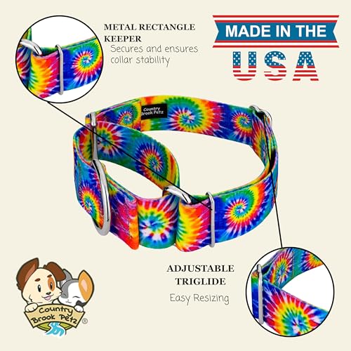 Country Brook Petz - HossFit Jr Wide Martingale Dog Collar - Groovy Collection Featuring Far Out Designs (Classic Tie Dye, Large) - color: Classic Tie Dye, size: Large (Pack of 1)