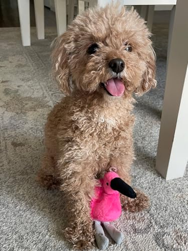 Glory To Dog TinyToy Plush Flamingo Small Dog and Puppy Toy - style: Flamingo