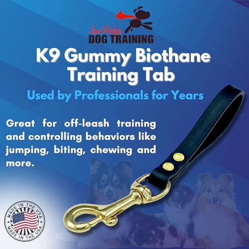 Biothane Training Tab Leash for Dogs, Brass Hardware, No Pull with Easy Grip Handle, Made in The USA, Professional Grade-Black - color: Black