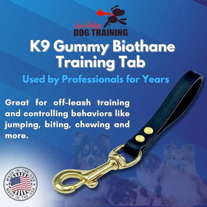 Biothane Training Tab Leash for Dogs, Brass Hardware, No Pull with Easy Grip Handle, Made in The USA, Professional Grade-Black - color: Black