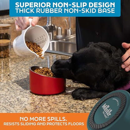 Master Pet Supply Stainless Steel Slanted Dog Cat Food Bowl - 16 oz Heavy Duty - Emerald Sea, Double Wall Insulated, Non-Slip Elevated Bowl for French Bulldogs Pugs Cats, Anti Rust Dishwasher Safe - color: Emerald Sea, size: 2 Cups (16 oz)