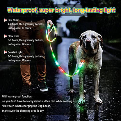 LED Waterproof Pet Dog Leash USB Rechargeable Fashionable Color Glow in the Dark Night Walk Safety Dog Leash for Medium to Large Dogs - color: Orange