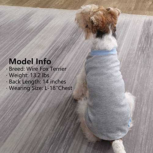 KYEESE 2Pack Dog Shirts Waffle for Small Dogs Stretchy T-Shirts Lightweight Tank Top Sleeveless Vest Breathable Cat Tee, Medium, Blue+Grey - color: 07# 2Pack(Blue+Grey), size: Medium (7-11lbs)