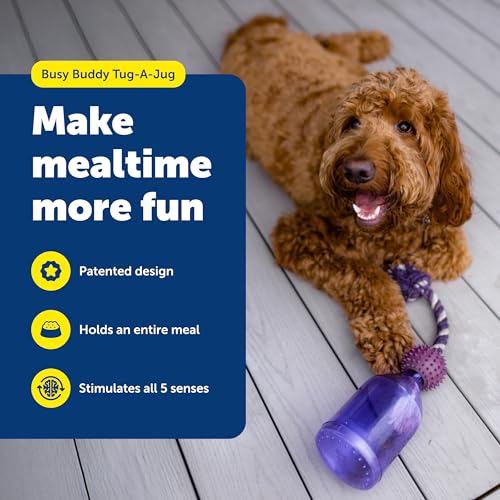 PetSafe Busy Buddy Tug-A-Jug Meal-Dispensing Dog Toy Use with Kibble or Treats Small
