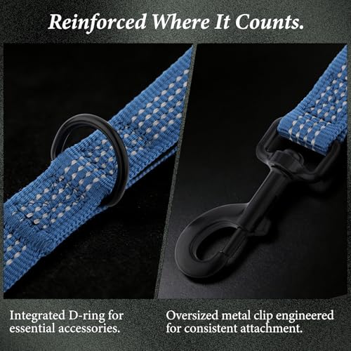 Double Handle Dog Leash 6 FT Reflective 2 Handle Traffic Lead with Padded Grip, Heavy Duty Nylon Leash for Walking Training, for Small Medium Large Dogs, Blue - color: Blue