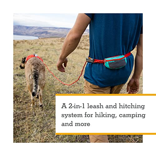 Ruffwear, Hitch Hiker Dog Leash, Adjustable Leash & Hitching System for Camping & Hiking, Red Currant - color: Red Currant