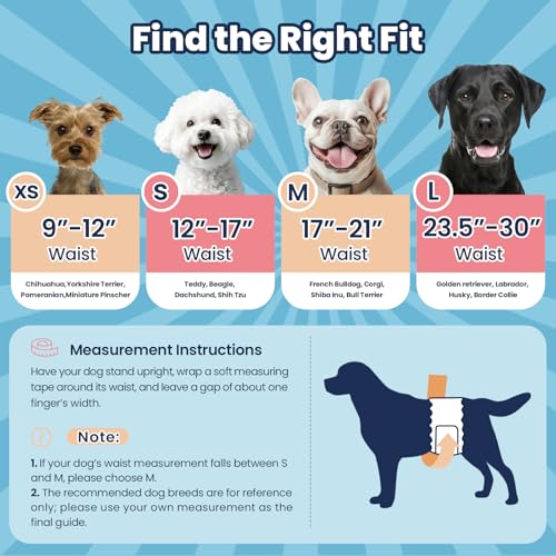 Male Dog Diapers Disposable, Small 50 Ct, Quick Dry Puppy Diapers Male with Leak-Proof Design, Comfortable Belly Bands for Male Dogs, Fit for Teddy, Beagle, Dachshund - size: Small: 50 Ct