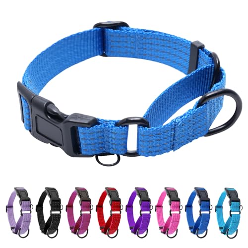 Martingale Dog Collar, Reflective No Pull Training Collar with Quick Release Buckle, Adjustable Heavy Duty Nylon Choker Collars for S M L Dogs (Blue, S (1" x 12"-15.8")) - color: Blue, size: S (1" x 12"-15.8")