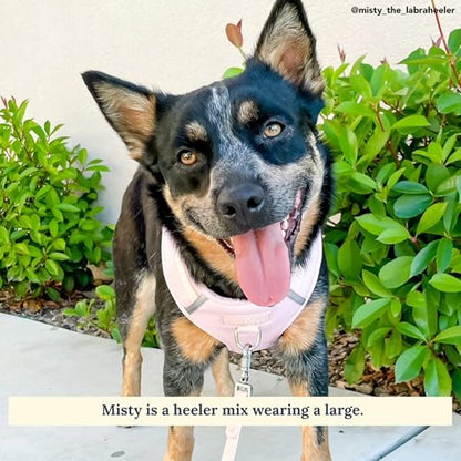 Lucy & Co. The Rosewater No-Pull Dog Harness - Size X-Large - Vest to Stop Pulling & Walk Easy - Comfortable Leash Training Product w/Adjustable Chest & Neck Straps - color: The Rosewater No-Pull Harness, size: X-Large
