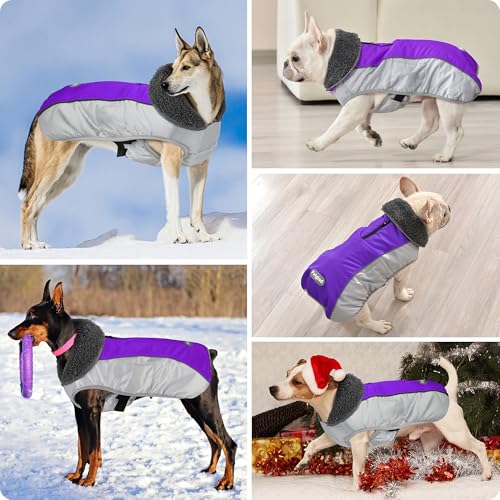 Petglad Dog Coat, Waterproof Ripstop Dog Winter Jacket with Leash Hole, Reflective Adjustable Warm Pet Fleece Snow Sweater for Small Medium Large Dogs - Purple, L - color: Purple, size: L