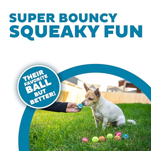 Outward Hound Squeaker Ballz – Squeaky Tiny Tennis Balls for Small Dogs Under 15 lbs, Fetch & Training, X-Small (1.5"), 8-Pack - color: Multi Squeaker Balls, size: X-Small, style: 8-Pack