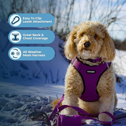 Best Pet Supplies - All Weather Mesh/Plush, Reflective, No Pull Harness for Small, Medium Dogs, Cats - Secure with Hook & Loop Fastener, Buckle, Double D-Rings - Purple/Black Trim, XS - color: Harness (Purple/Black Trim), size: XS (Chest: 13 - 14.5")