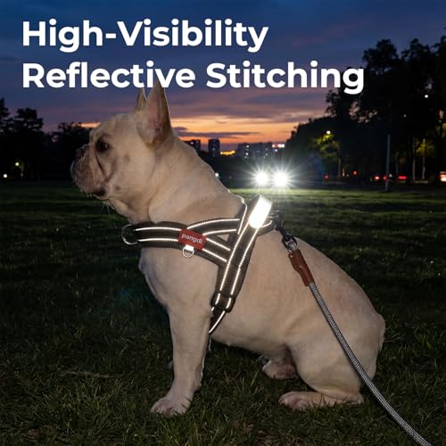 No Pull Dog Harness with Handle, Boston Terrier Adjustable Reflective Dog Vest, Breathable Air Mesh Padded Pet Harness with Front Leash Clip for Small Medium Dogs, Black, M - color: Black, size: Medium