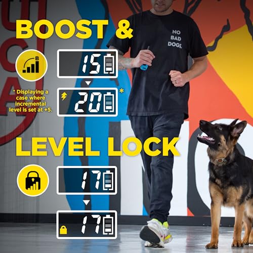 Dogtra E-Collar Tom Davis 280C 2.0 [2025 Edition], Boost & Lock, Waterproof, 1/2-Mile Range Dog Training Collar with Remote, Rechargeable, 127 Levels, Vibration, Bungee, No Bad Dogs Trainers - color: Tom Davis 280C 2.0