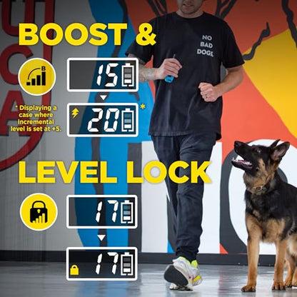 Dogtra E-Collar Tom Davis 280C 2.0 [2025 Edition], Boost & Lock, Waterproof, 1/2-Mile Range Dog Training Collar with Remote, Rechargeable, 127 Levels, Vibration, Bungee, No Bad Dogs Trainers - color: Tom Davis 280C 2.0