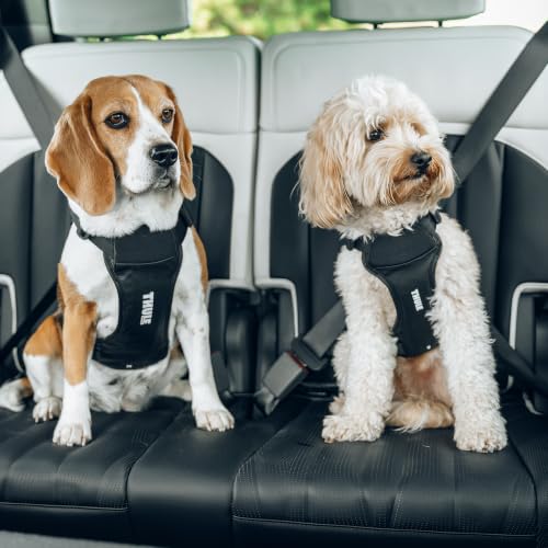 Thule Cappy Dog Harness S - Crash-Tested for Safety - Seatbelt passthrough - Adjustable & Easy to Clean - Padded Breathable mesh Panels - Leash Loop - Step-in Design - size: Small
