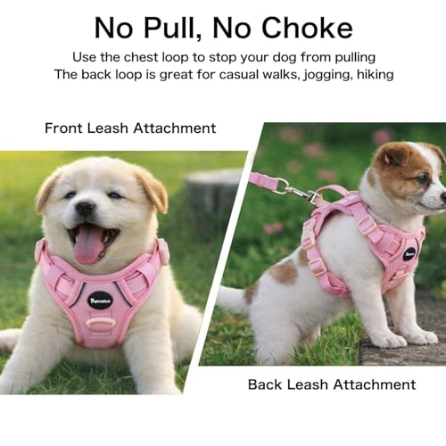 Petmolico No Pull Cute Dog Harness for Small Dogs, with Two Leash Clips and Soft Handle, Reflective Easy Walk Dog Harness- Light Pink,Small - color: Light Pink, size: Small
