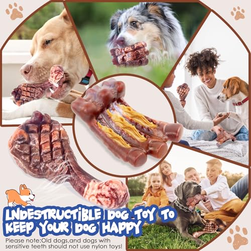 Fuufome Dog Chew Toys for Aggressive Chewers：2 Pack Indestructible Dog Toy for Large Breed- Tough Nylon Teething Bone Toy to Keep Them Busy - color: Grilled color