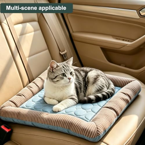 RPGT Summer Pet Self Cooling Pad Washable Sleeping Blanket- No Need to Freeze Or Refrigerate 13.4"x 17.7" Kennel Mat for Small Medium Dog and Adult Cat - size: Small