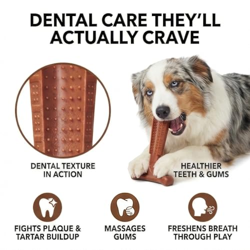 SPOT Bam-Bones Plus Coffee Wood T-Bone Dog Chew Toy, Beef Flavor, Nylon and Coffee Wood Fiber Blend, Durable Chew for Heavy Chewers and Dogs Under 60 lbs, Non-Splintering Dental Chew, 6 Inch - size: 6 Inch (Pack of 1)