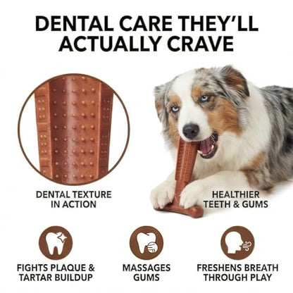 SPOT Bam-Bones Plus Coffee Wood T-Bone Dog Chew Toy, Beef Flavor, Nylon and Coffee Wood Fiber Blend, Durable Chew for Heavy Chewers and Dogs Under 60 lbs, Non-Splintering Dental Chew, 6 Inch - size: 6 Inch (Pack of 1)