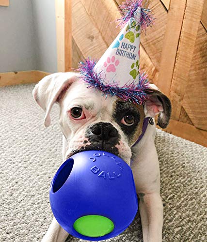 Jolly Pets Teaser Ball Dog Toy, Medium/6 Inches, Blue, Jolly Pets 6-Inch Teaser Ball, Blue - color: Blue, size: Medium (6 in)