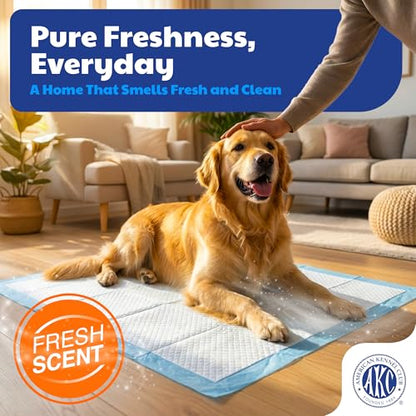 American Kennel Club Scented Puppy Training Pads with Ultra Absorbent Quick Dry Gel – 28 x 30 Pee Pads for Dogs - Fresh Scented - 50 Count, XL - size: 28 x 30 - 50 Count