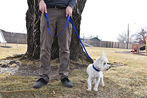 Double Handle Dog Leash, 5ft Long Heavy Duty Dog Leash with Paded Traffic Handles for Extral Control and Training, Dual Handles Leads, Large Medium Small Dogs (Royal Blue)