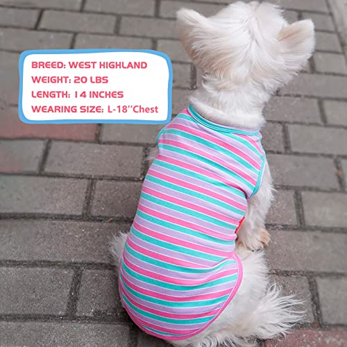 KYEESE 2Pack Dog Shirt, Soft Striped Dogs T Shirts, Lightweight Doggie Tank Top Cat Clothes, Sleeveless Dog Shirt for Small Dogs, Stretchy Pet Vest, Purple+Blue Striped, Medium - color: 04# 2Pack (Purple+Purple Striped), size: Medium (7-13lbs)
