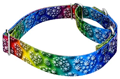Country Brook Petz - Groovy Ganja Martingale Dog Collar Limited Edition - Groovy Collection Featuring Far Out Designs (1/2 Inch, 2XS) - color: Groovy Ganja, size: 2XS (Pack of 1)