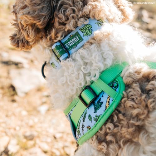 Lucy & Co. x Parks Project Feel the Earth Breath No-Pull Dog Harness, Adjustable Front Clip Harness with Comfort Padding, X-Large - color: Feel the Earth Breath, size: X-Large
