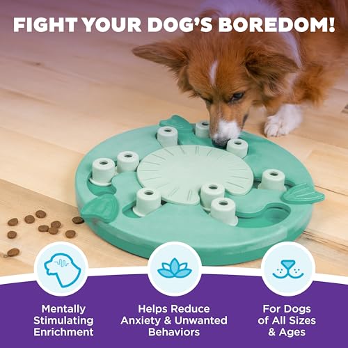 Outward Hound by Nina Ottosson Dog Worker Treat Puzzle Enrichment Toy, Level 3 Advanced, Green - color: Dog Worker (Green)