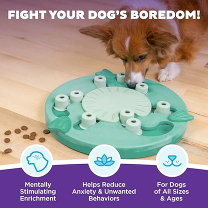 Outward Hound by Nina Ottosson Dog Worker Treat Puzzle Enrichment Toy, Level 3 Advanced, Green - color: Dog Worker (Green)