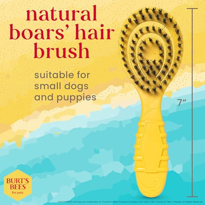 Burt's Bees for Pets Small Bristle Brush with Natural Boar’s Hair & Nylon | Handle Made from Recycled Plastics Collected from Coastal Communities | De-Shedding Eco Friendly Dog Grooming Brush - color: Plastic Bristle Brush, size: 7 Inch