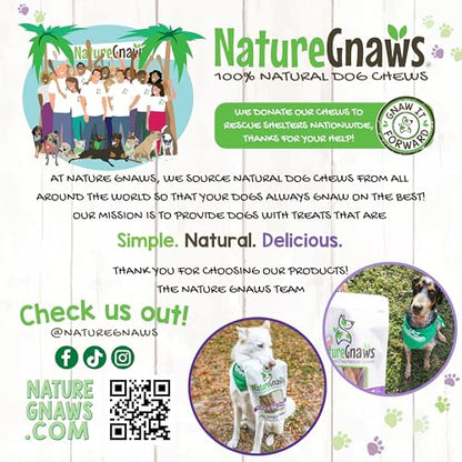 Nature Gnaws Extra Thin Bully Sticks for Small Dogs 5-6" (50 Count) - Long Lasting for Light Chewers and Puppies - Natural Beef Dog Chew Bone - size: 50 Count (Pack of 1)