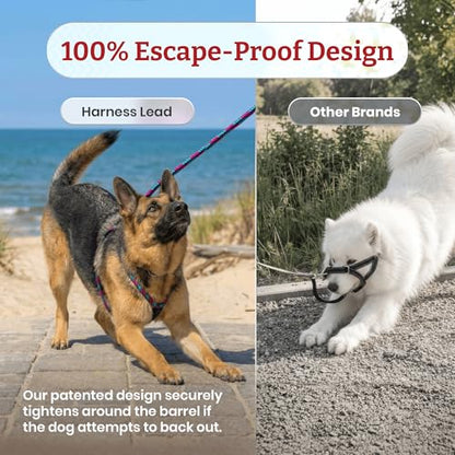 Harness Lead No Pull Dog Harness and Leash Set, Anti Pull Dog Harness for All Breeds and Sizes, One-Piece Cushioned Rope Design Safely Prevents Escaping and Pulling (Medium/Large, Red/Reflective) - color: Red Reflective