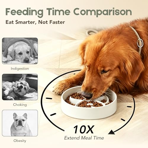 Ceramic Slow Feeder Dog Bowl, Dog Bowls 1.5 Cup Slow Feeding Bowl, Anti -Slip Pet Food Dish for Small and Medium Breed, Puzzle Dog Food Bowl for Fast Eater（White） - color: White