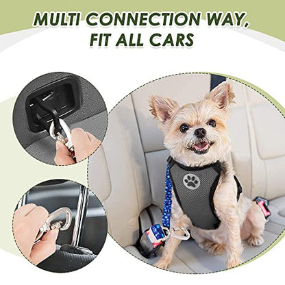 SlowTon Dog Seatbelt, 2 Pack Dog Seat Belt Car Leash Adjustable Elastic Bungee Buffer Heavy Duty Nylon Reflective Pet Safety Tether Connect to Dog Harness for Travel Riding in Vehicle (Daul Clip, BL) - color: Blue
